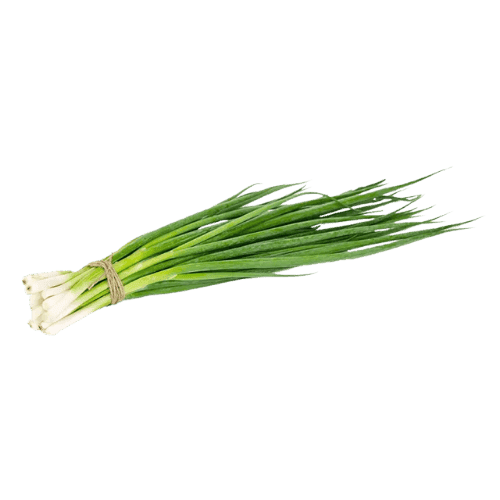 Zielona cebulka