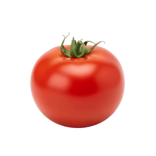 Pomidor
