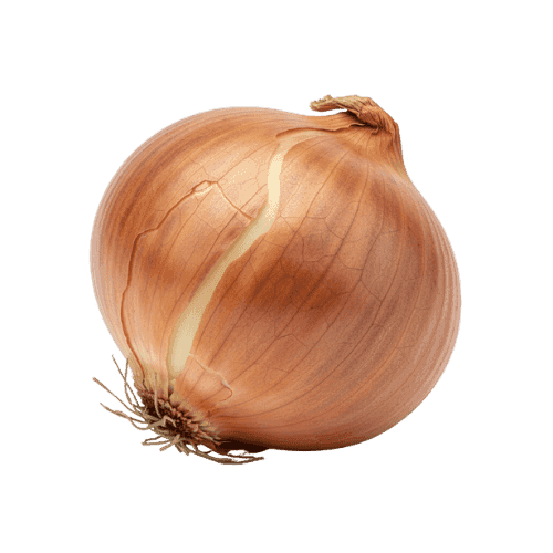 Cebula z łuską