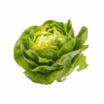 salata